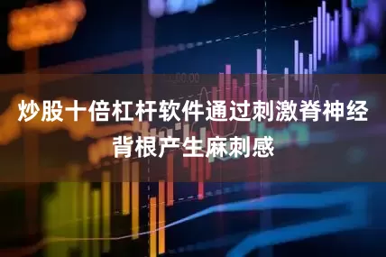 炒股十倍杠杆软件通过刺激脊神经背根产生麻刺感