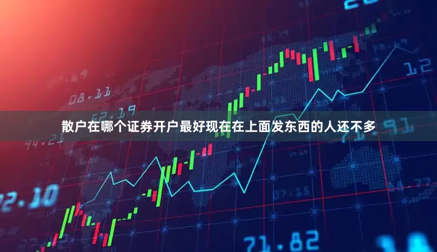 散户在哪个证券开户最好现在在上面发东西的人还不多