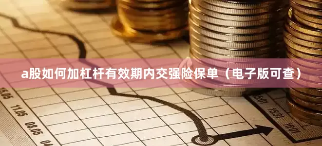 a股如何加杠杆有效期内交强险保单（电子版可查）